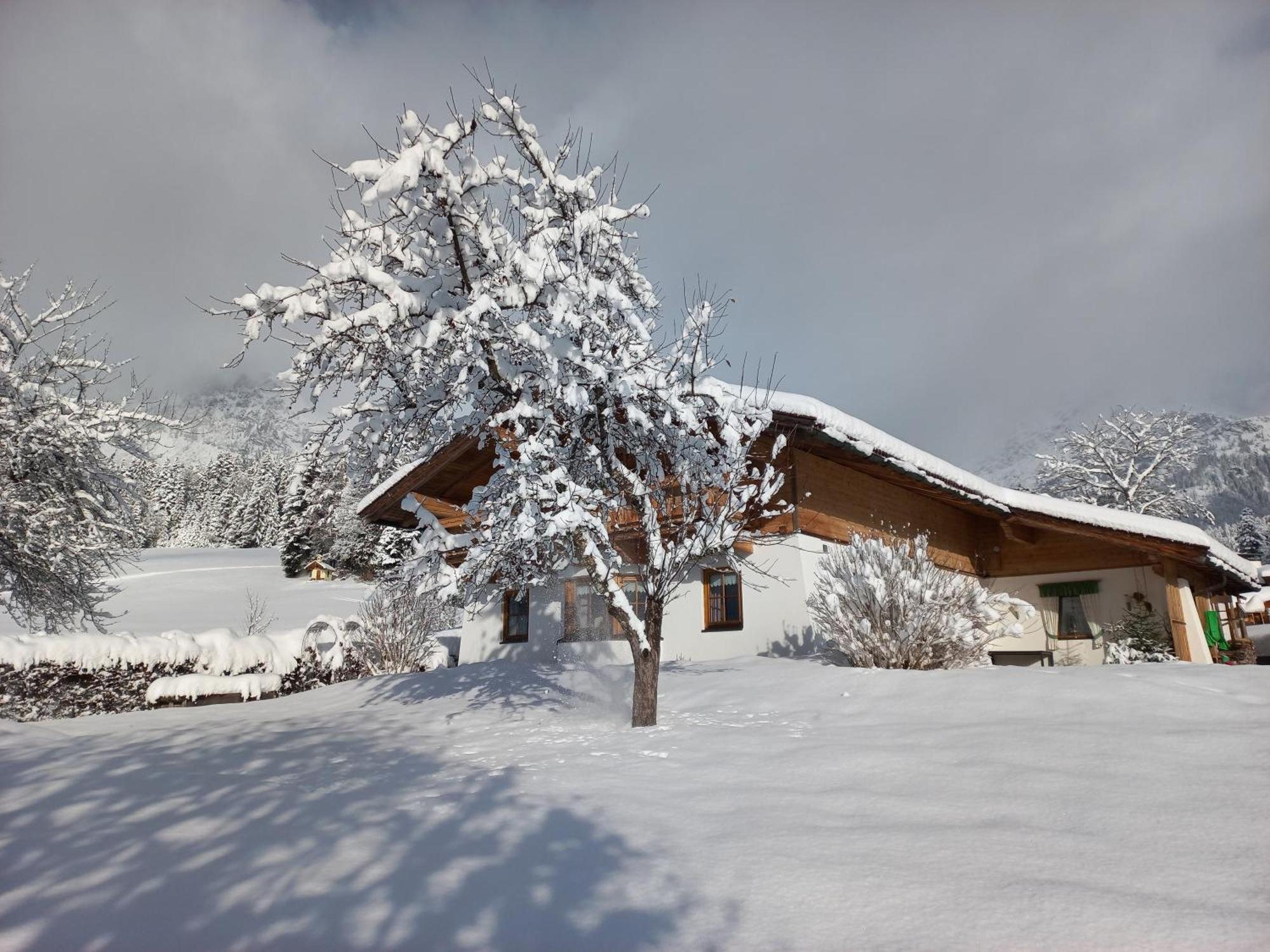 Chalet Gluecklich Sein... Ellmau Buitenkant foto